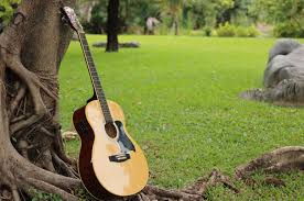 images_Guitar Music in the Park