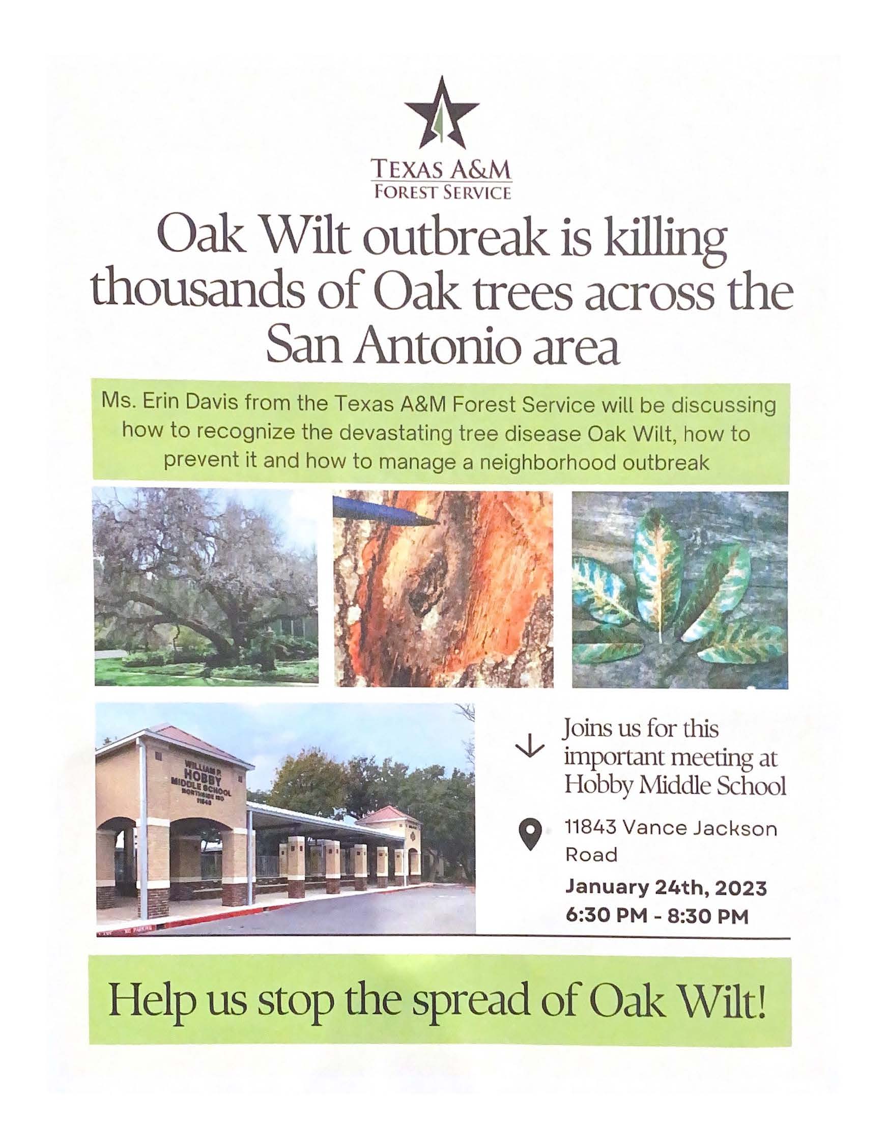 Oak Wilt